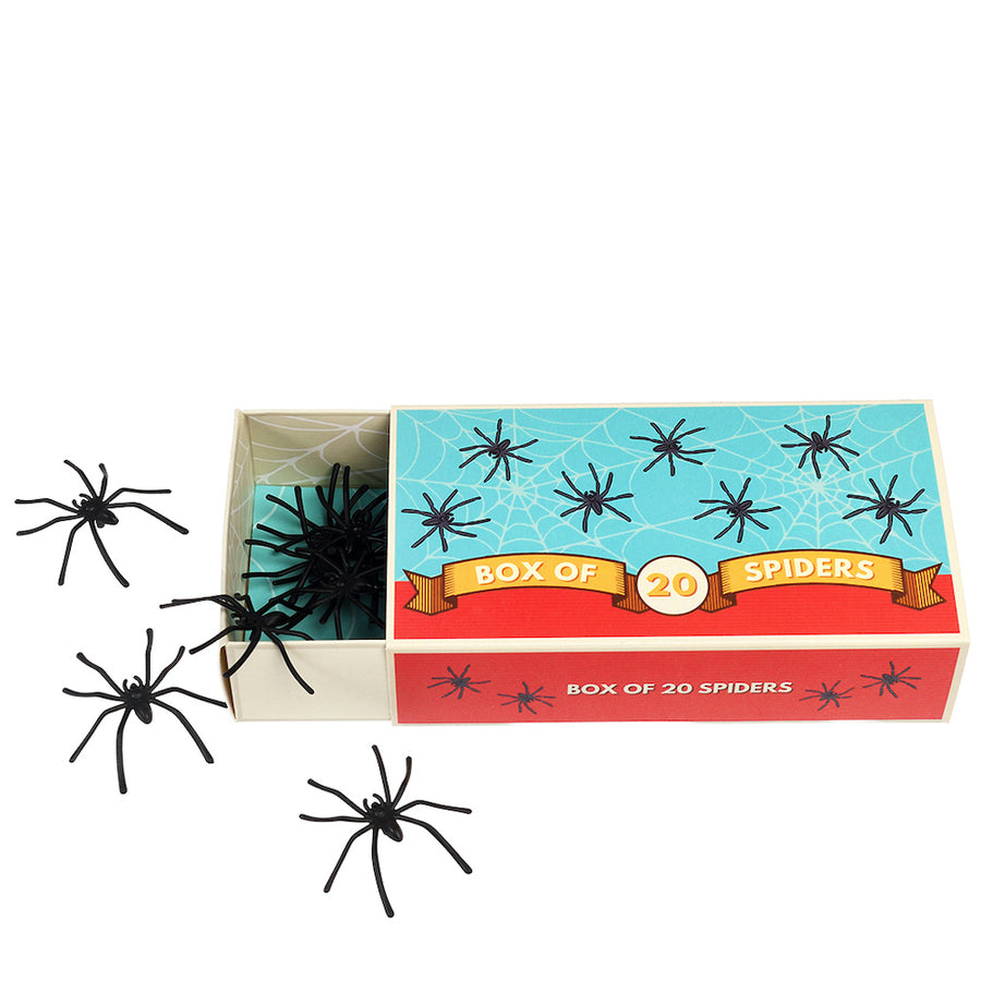 Rex London Box Of 20 Spiders 30125