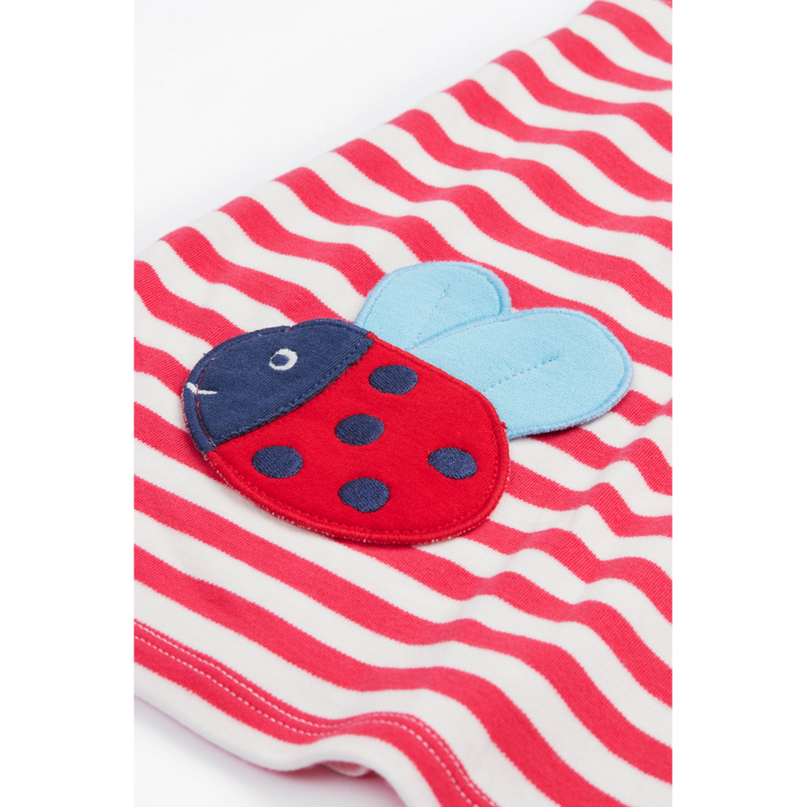 Frugi Little Layla Dress - Watermelon Stripe/Ladybird