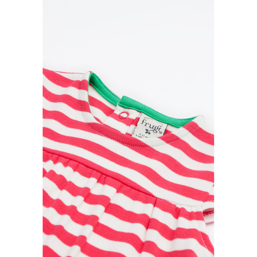 Frugi Little Layla Dress - Watermelon Stripe/Ladybird