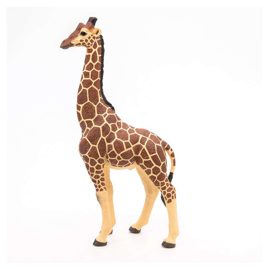 Papo Giraffe Male