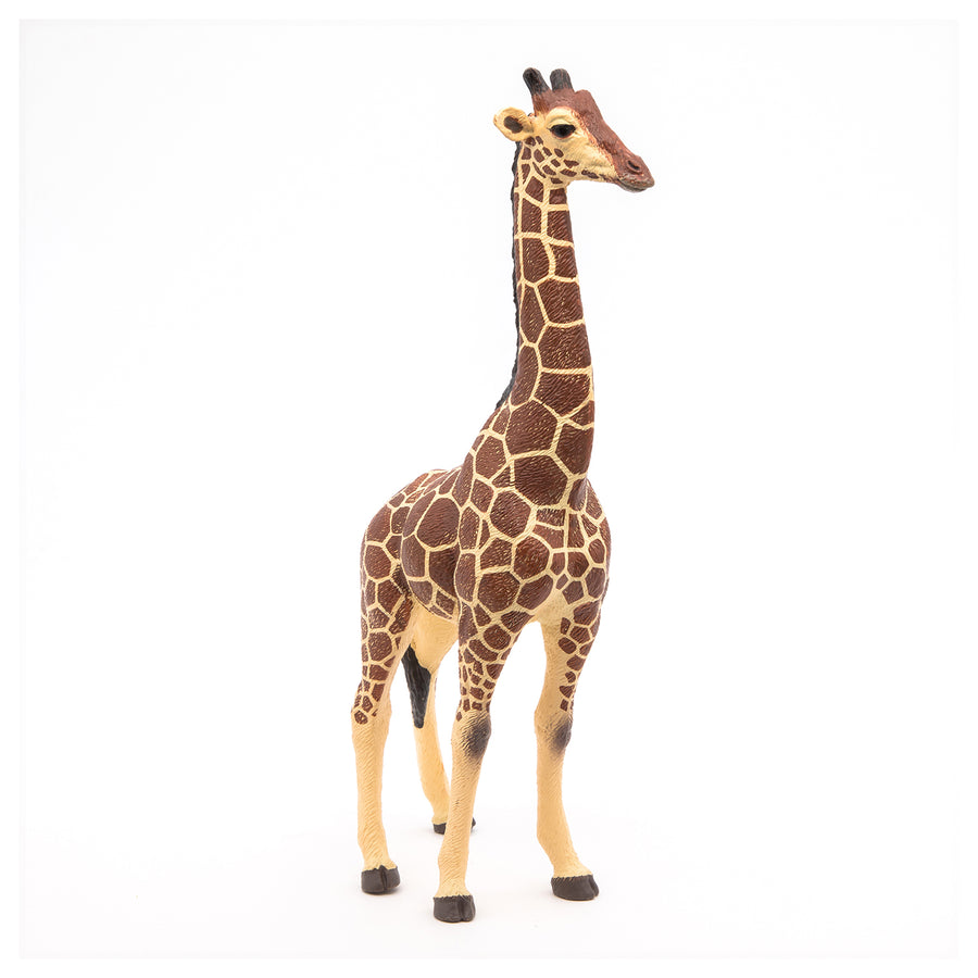 Papo Giraffe Male