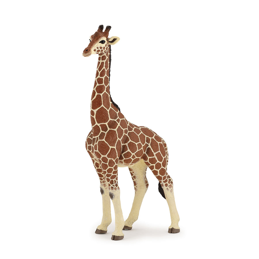 Papo Giraffe Male