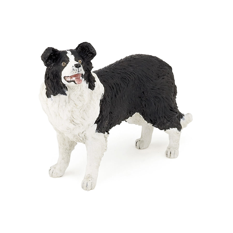 Papo Border Collie