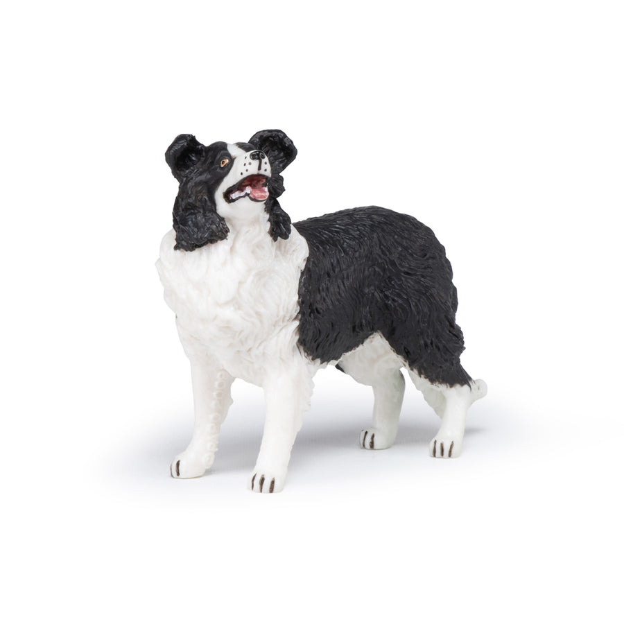 Papo Border Collie