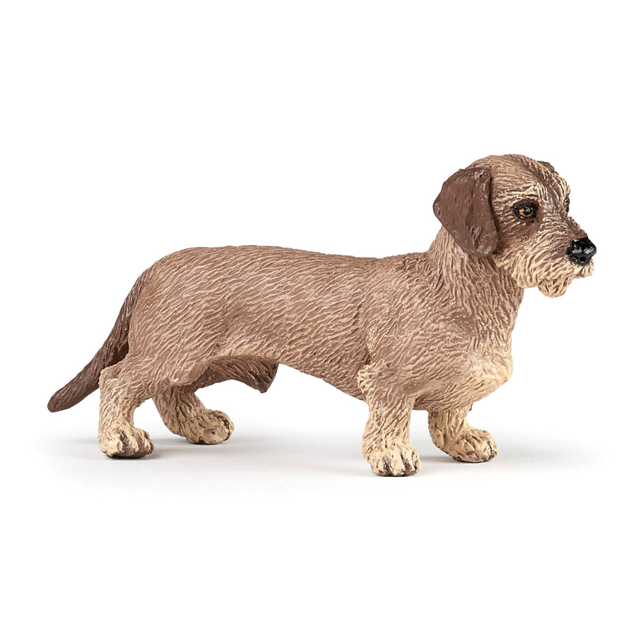 Papo Dachshund