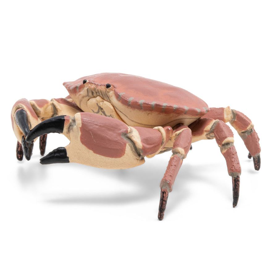 Papo Crab