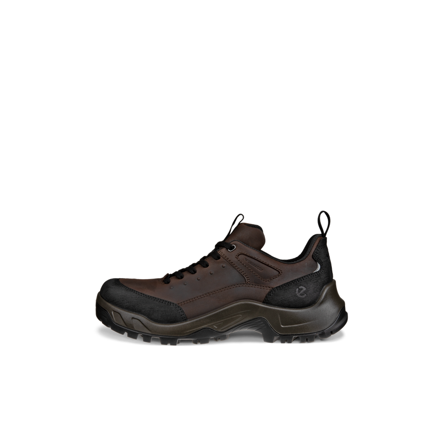 Ecco Offroad M Mocha Trainers