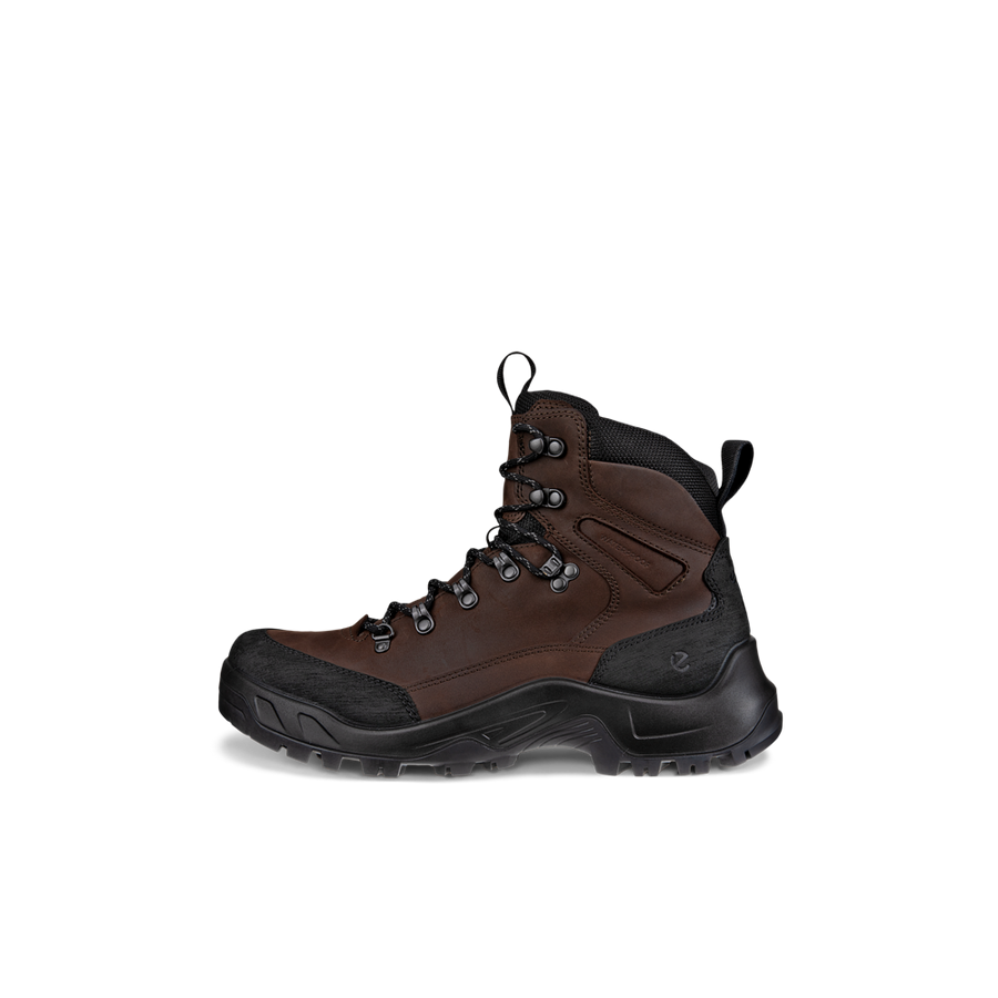 Ecco Offroad M Mocha Boots