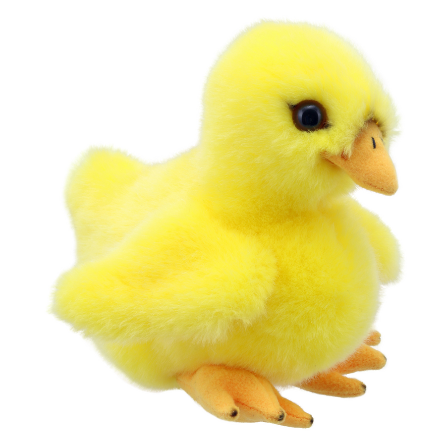 Wilberry Minis Chick WB005014