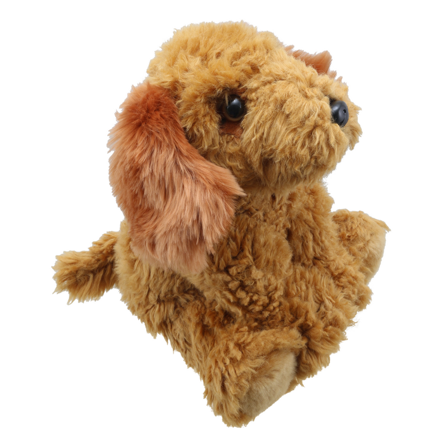 Wilberry Favourites Cockapoo (Golden) WB001605