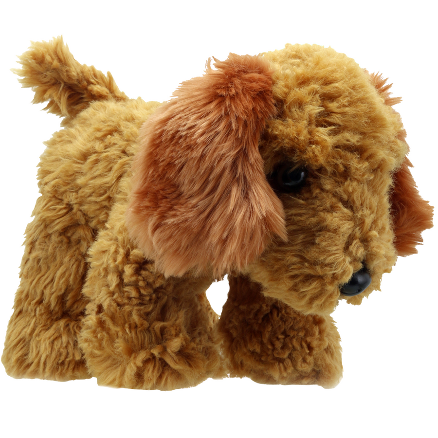 Wilberry Favourites Cockapoo (Golden) WB001605