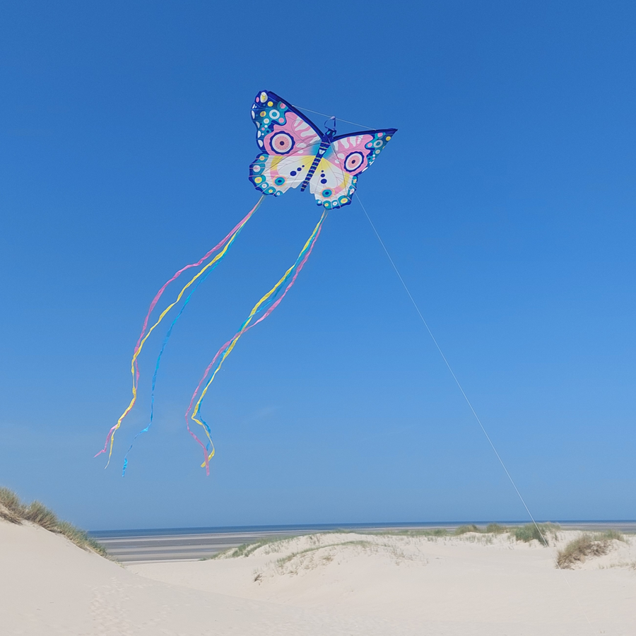 Djeco Skill Games - Kites - Maxi Butterfly DJ02162