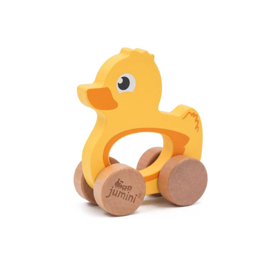 Jumini Push Along Friends Duck (Boxed) JU23105