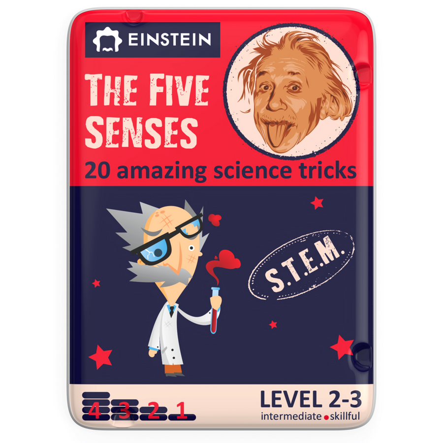 The Five Senses - Activity Cards